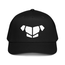 'Breastplate WH' 5 panel cap