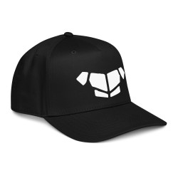 'Breastplate WH' 5 panel cap