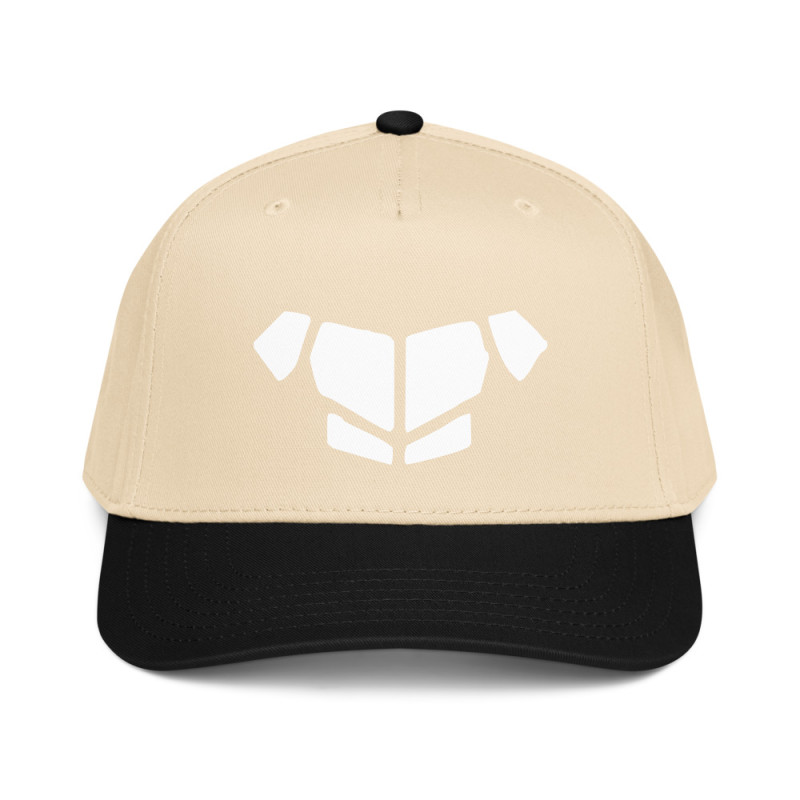 'Breastplate WH' 5 panel cap