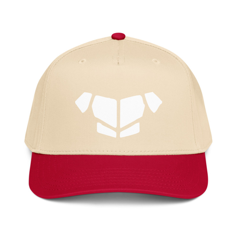'Breastplate WH' 5 panel cap