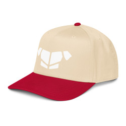 'Breastplate WH' 5 panel cap