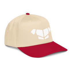 'Breastplate WH' 5 panel cap