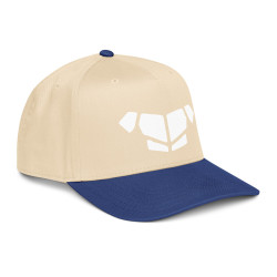 'Breastplate WH' 5 panel cap
