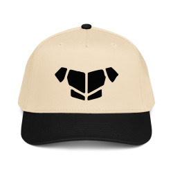 'Breastplate BL' 5 panel cap