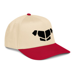 'Breastplate BL' 5 panel cap