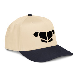 'Breastplate BL' 5 panel cap
