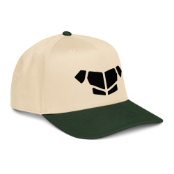'Breastplate BL' 5 panel cap