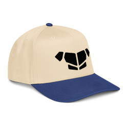 'Breastplate BL' 5 panel cap