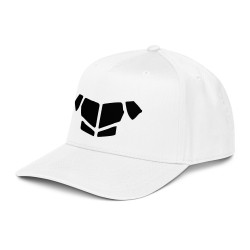 'Breastplate BL' 5 panel cap