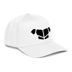'Breastplate BL' 5 panel cap