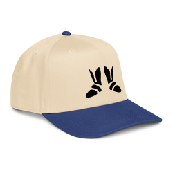 'Shoes BL' 5 panel cap