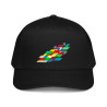 'Everydaysay Shoes WH' 5 panel cap