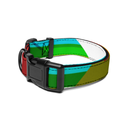 Everydaysay Pet collar