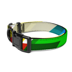 'Everyday Say' Pet collar